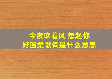 今夜吹着风 想起你好温柔歌词是什么意思